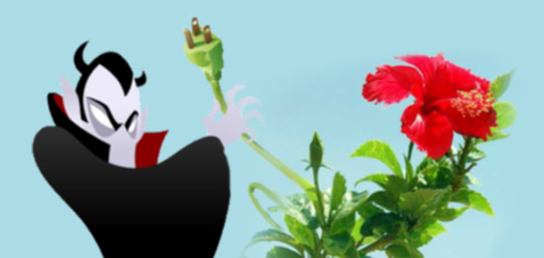 Само хората са енергийни вампири