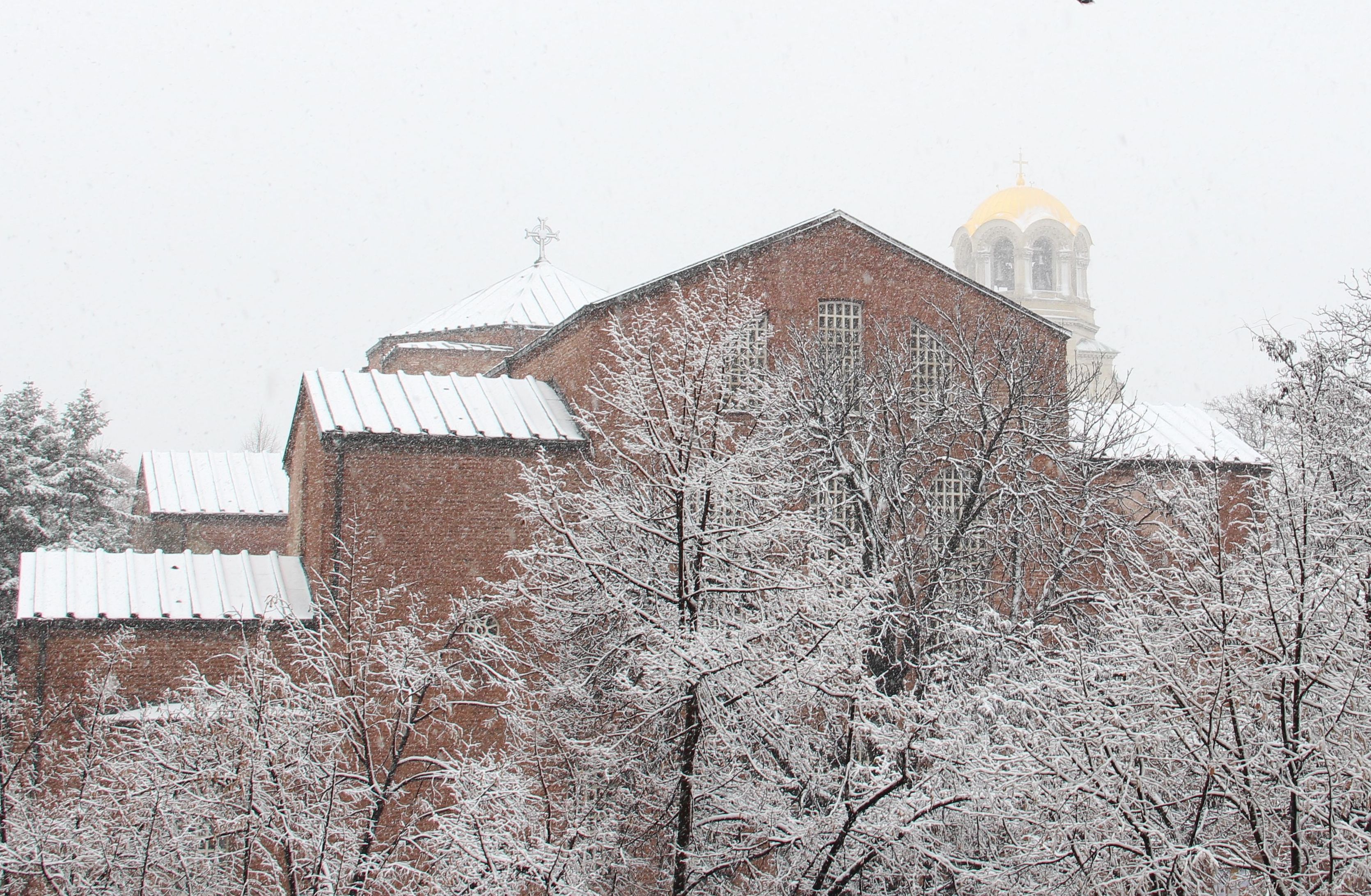 Хороскоп на България - 2014