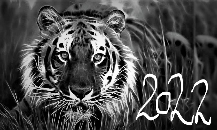 2022 е година на Черния воден тигър