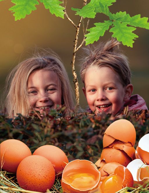 Жесток ритуал: Посади дърво, изяж яйце, раздели близнаци