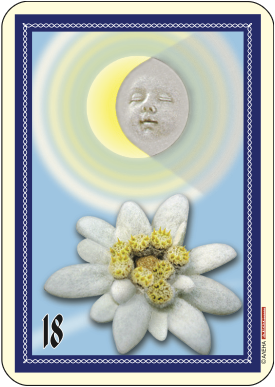 Луна и еделвайс