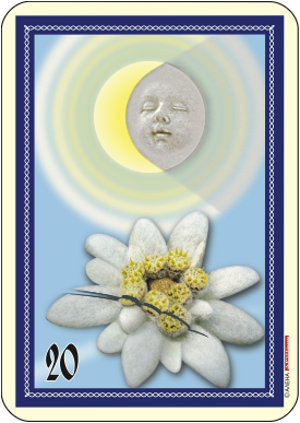 Луна и наранен еделвайс