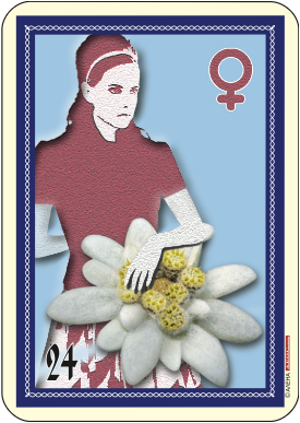 Жокер жена еделвайс