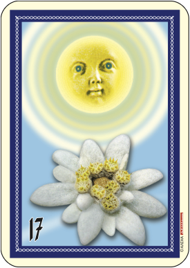 Слънце и еделвайс