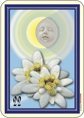 Луна и два еделвайса