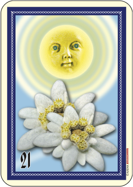 Слънце и два еделвайса